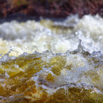 Wildwasser_3